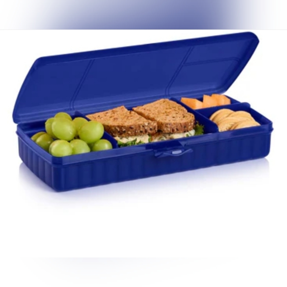 LUNCH 'N THINGS CONTAINER
